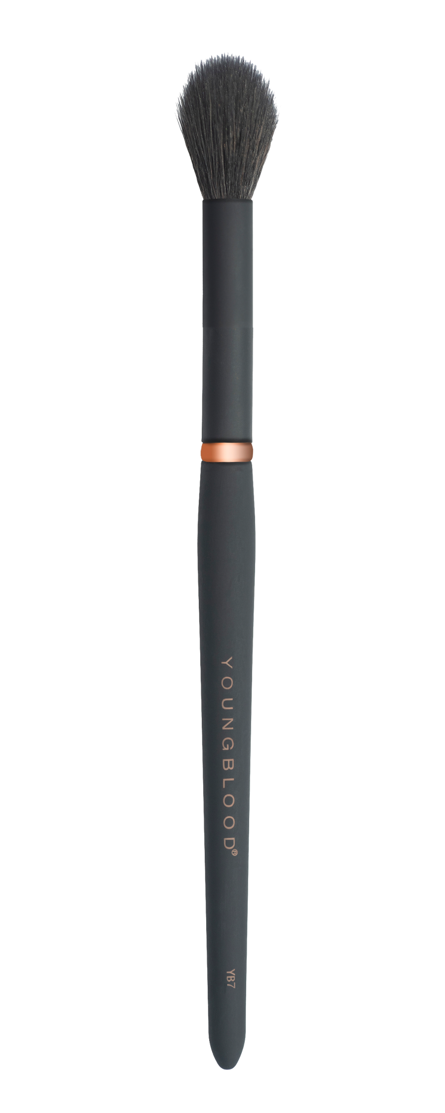 YB7 Highlight Brush